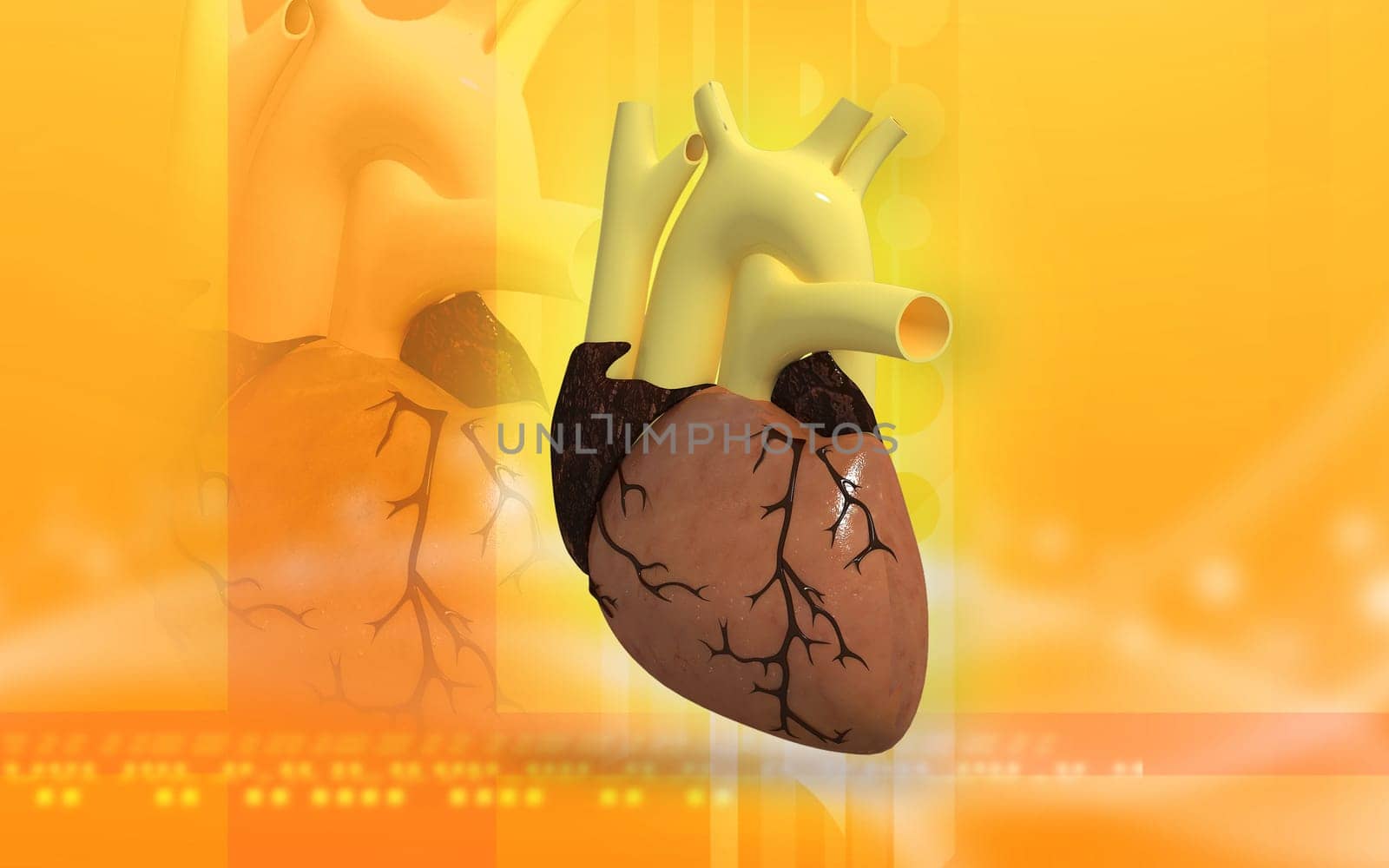 Digital illustration of heart in colour background