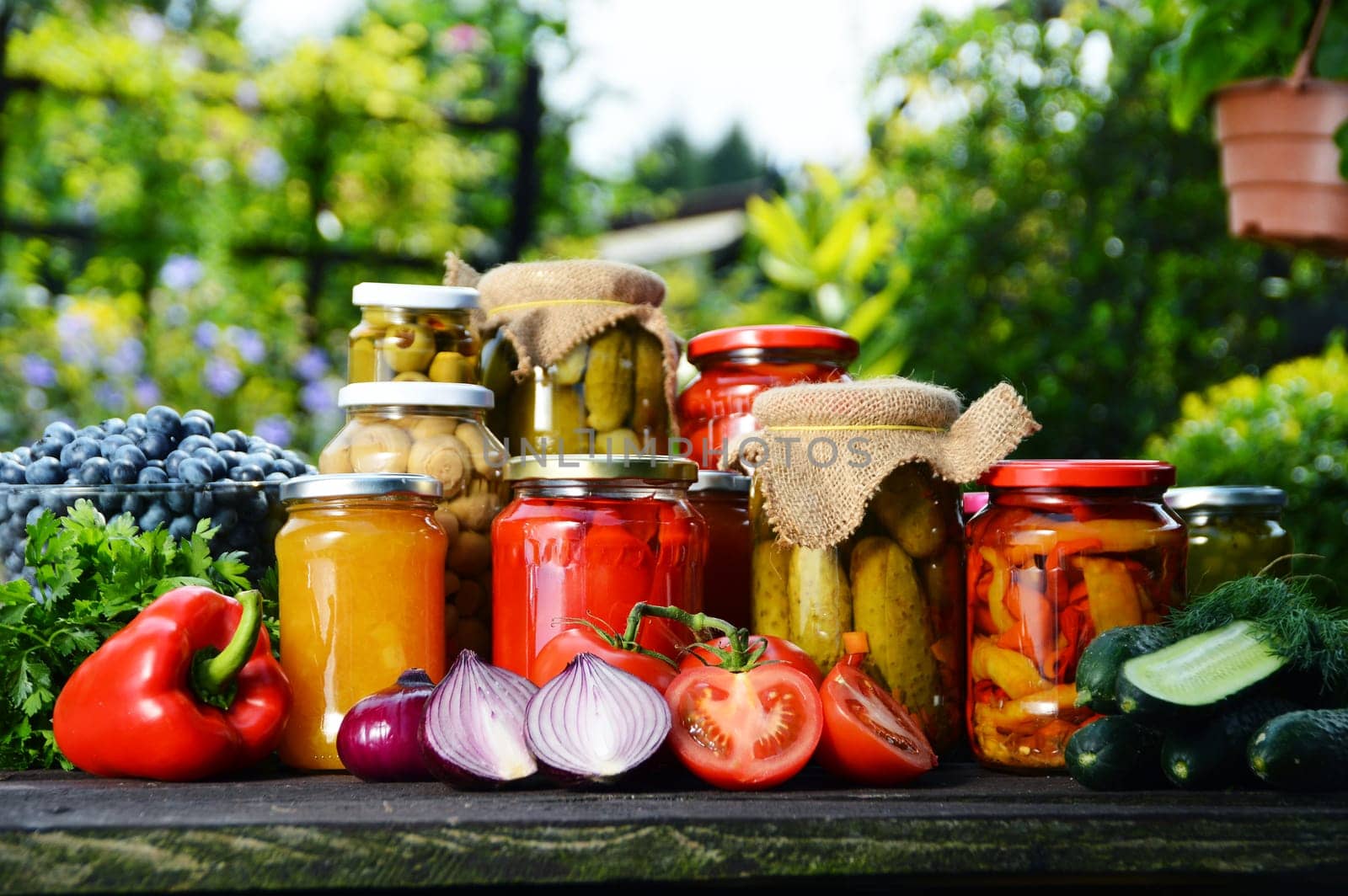 Jars of pickled vegetables in the garden. Marinated food.
