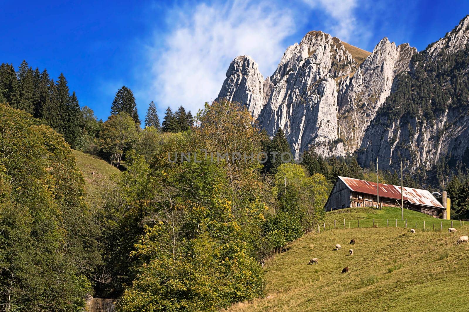 Wägital