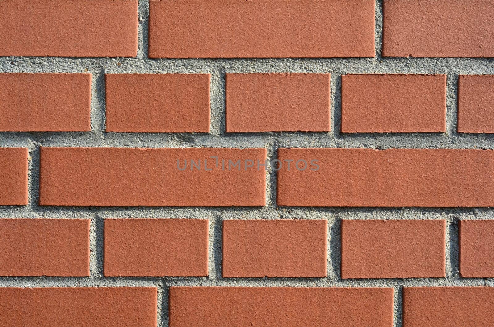 Wall
