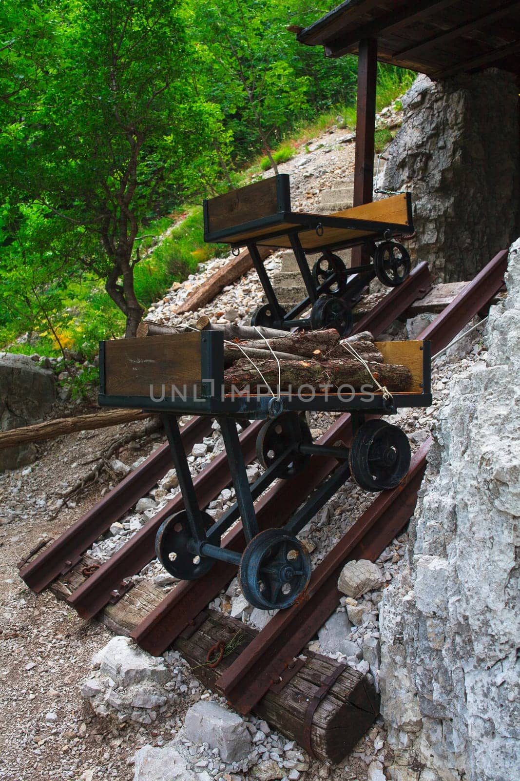 View of cart on trail used in the World War One