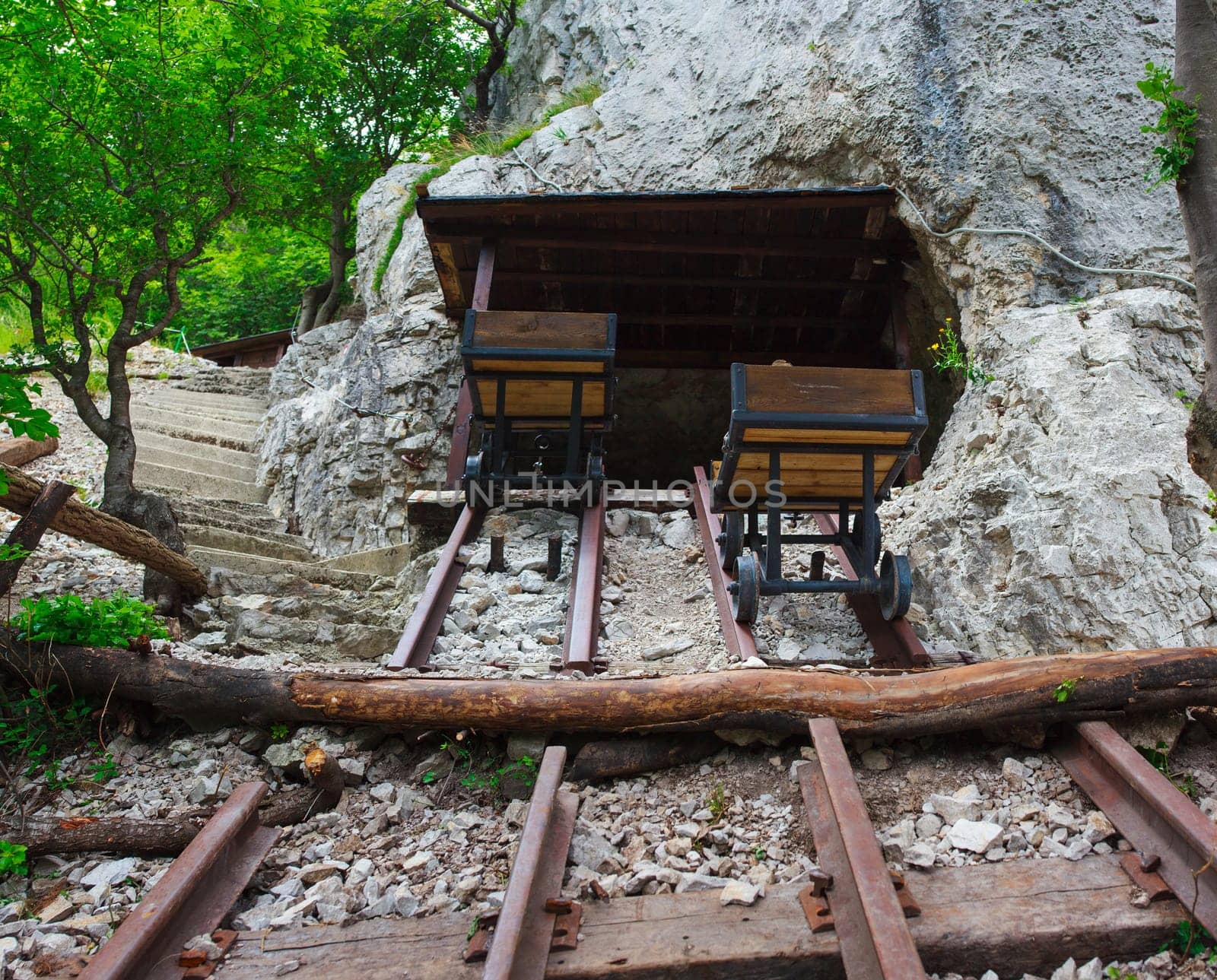 View of cart on trail used in the World War One