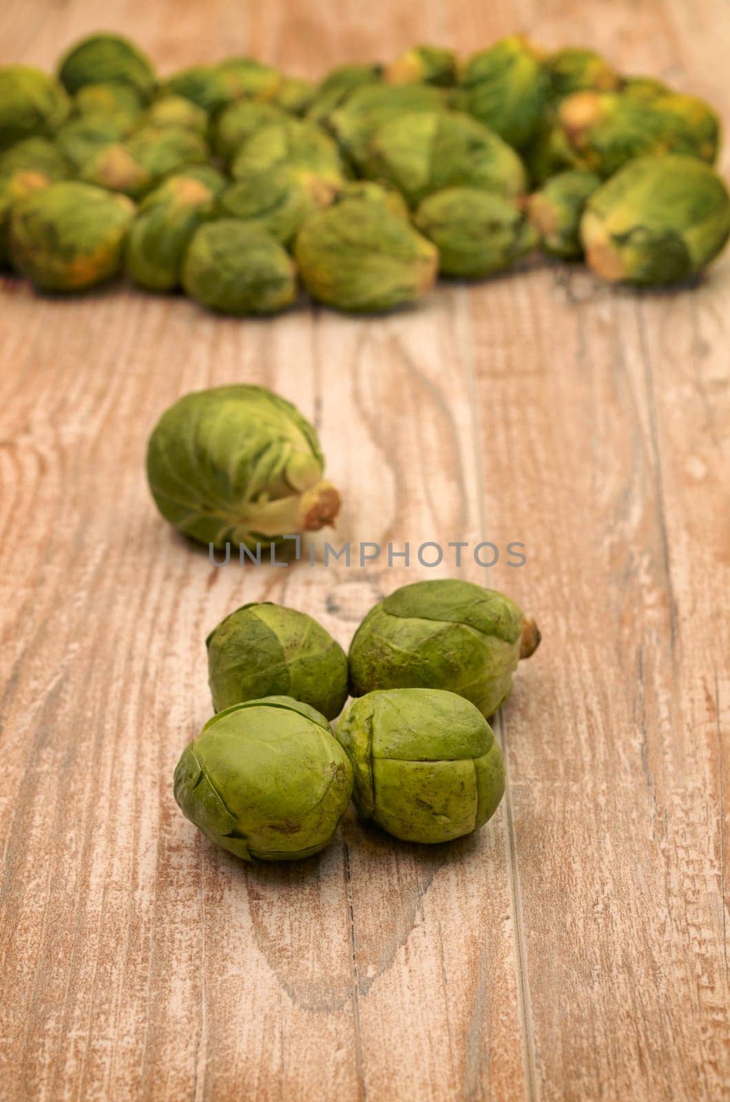 Fresh sprouts on a rustic wooden table