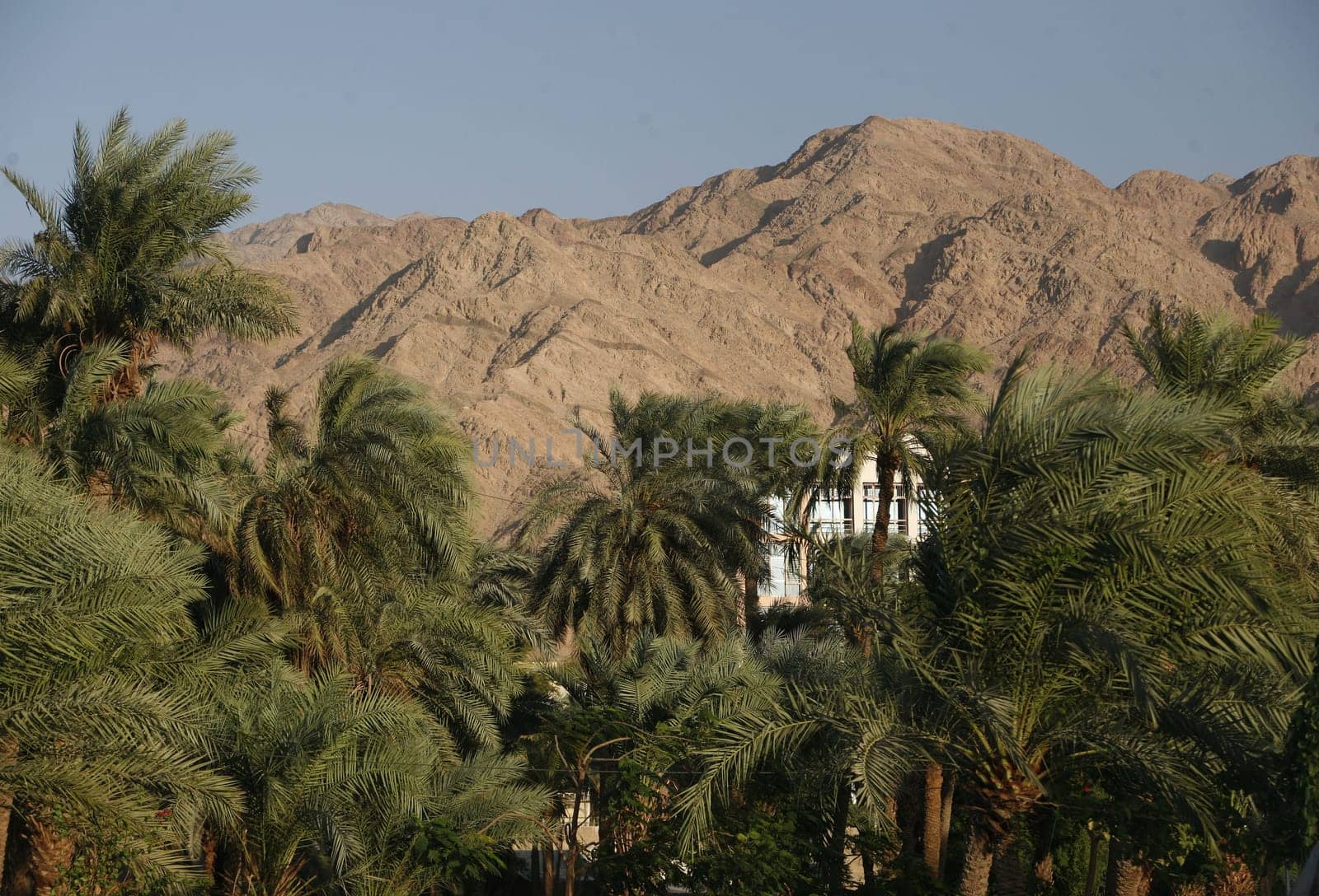 the Landscape allround the city of Aqaba on the red sea in Jordan in the middle east.