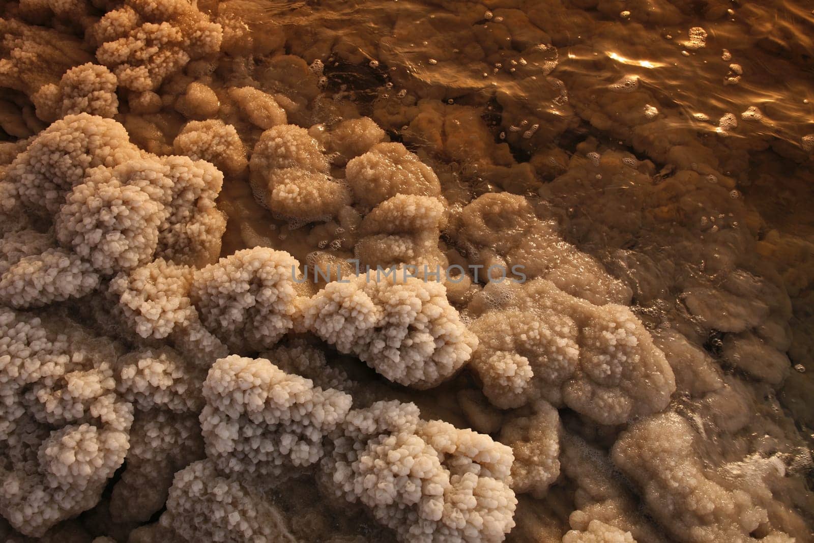 The coast with natural salt of the death sea neat the Village of Mazraa in Jordan in the middle east.