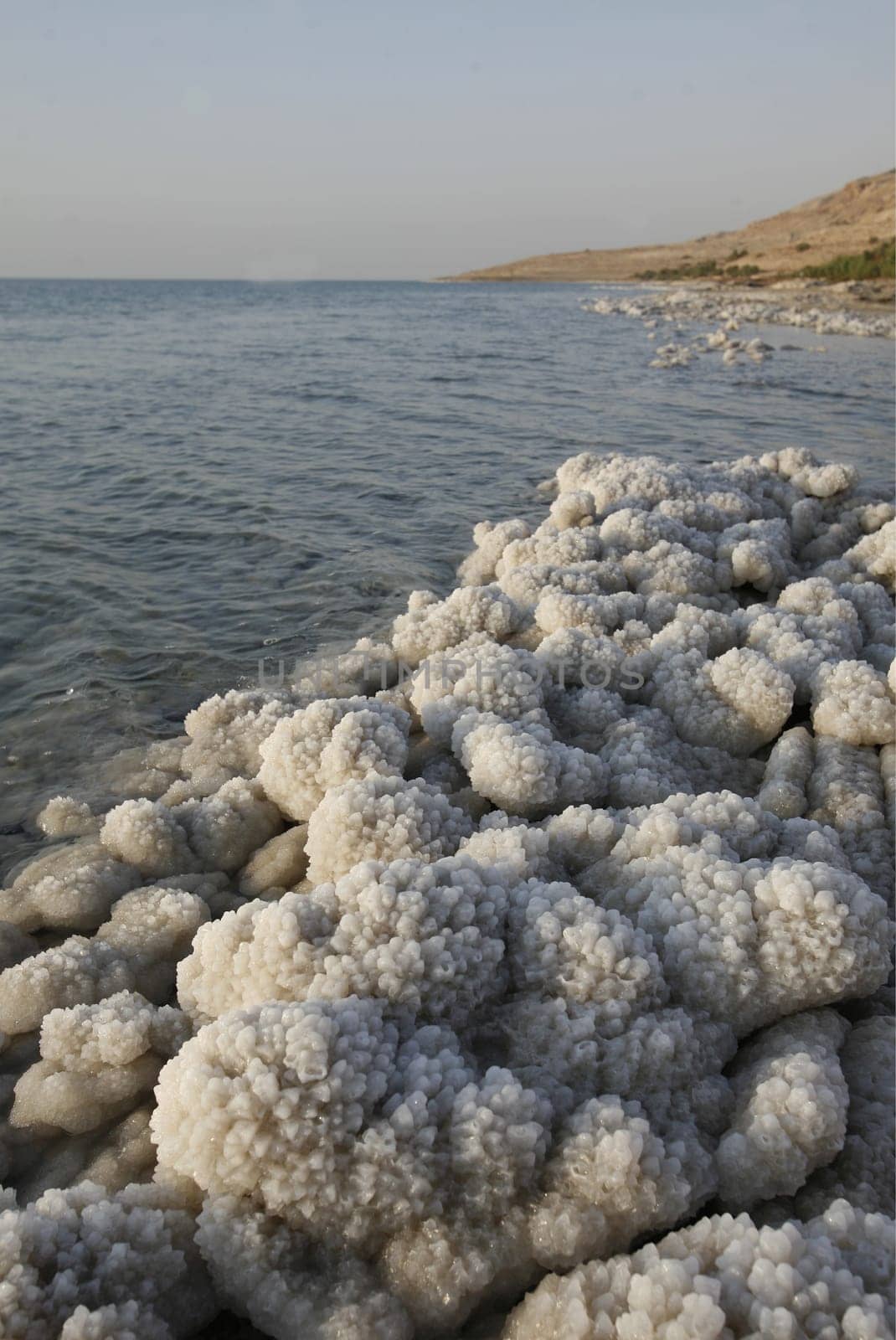 The coast with natural salt of the death sea neat the Village of Mazraa in Jordan in the middle east.