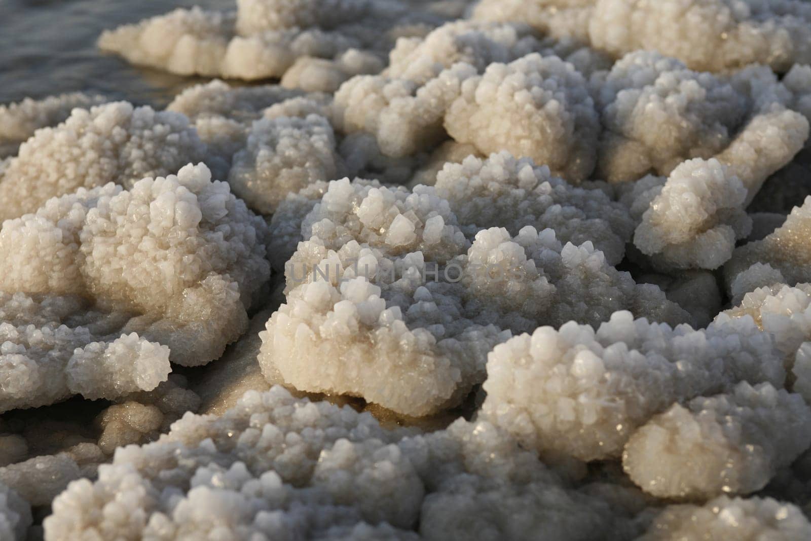 The coast with natural salt of the death sea neat the Village of Mazraa in Jordan in the middle east.