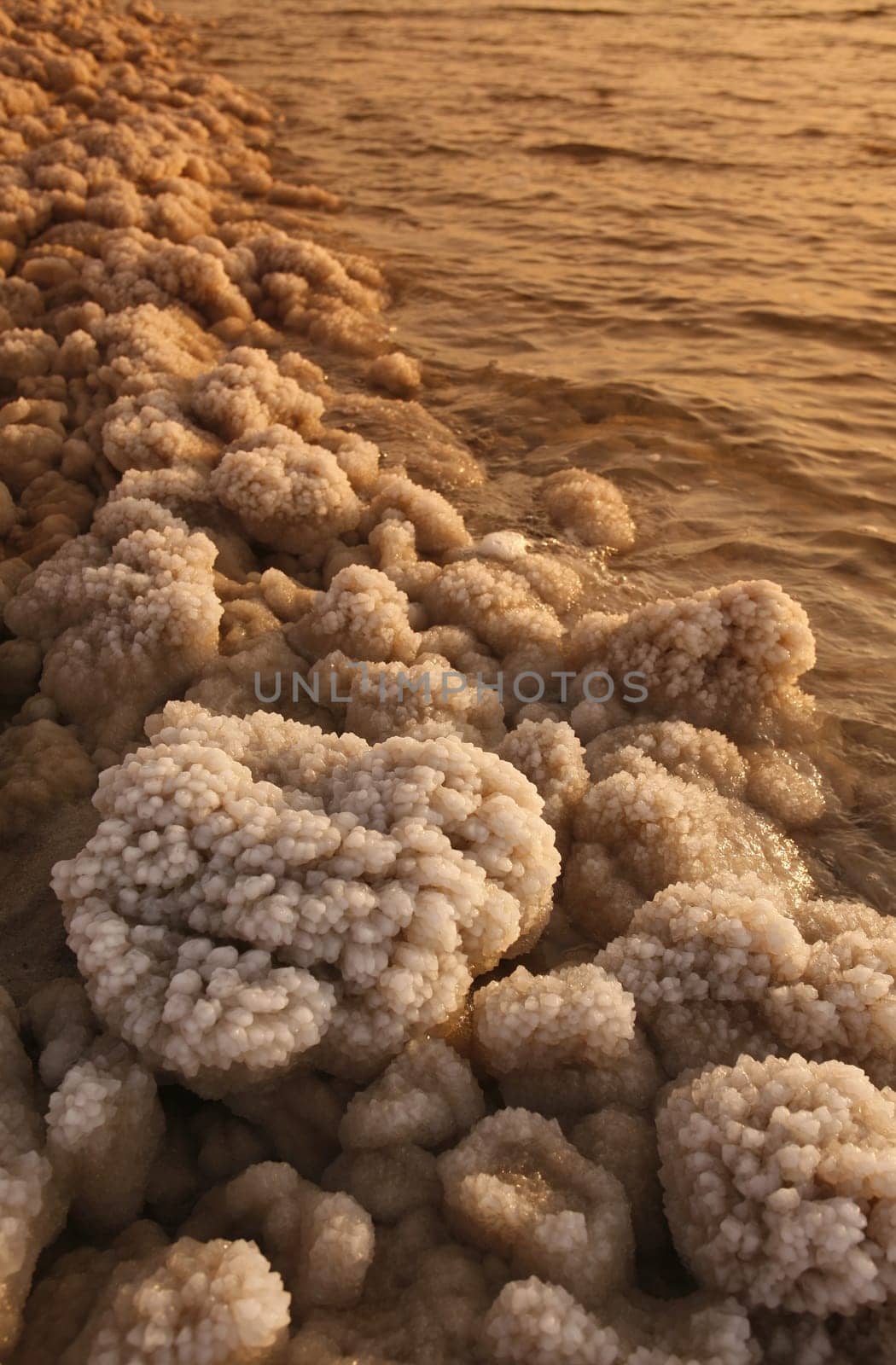 The coast with natural salt of the death sea neat the Village of Mazraa in Jordan in the middle east.