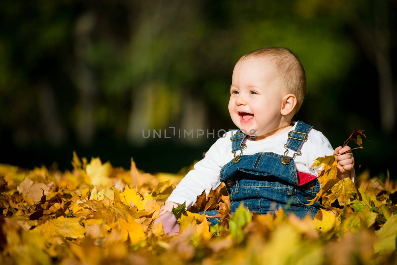 Beautiful baby sitting and playing  in fallen leaves - autumn scene