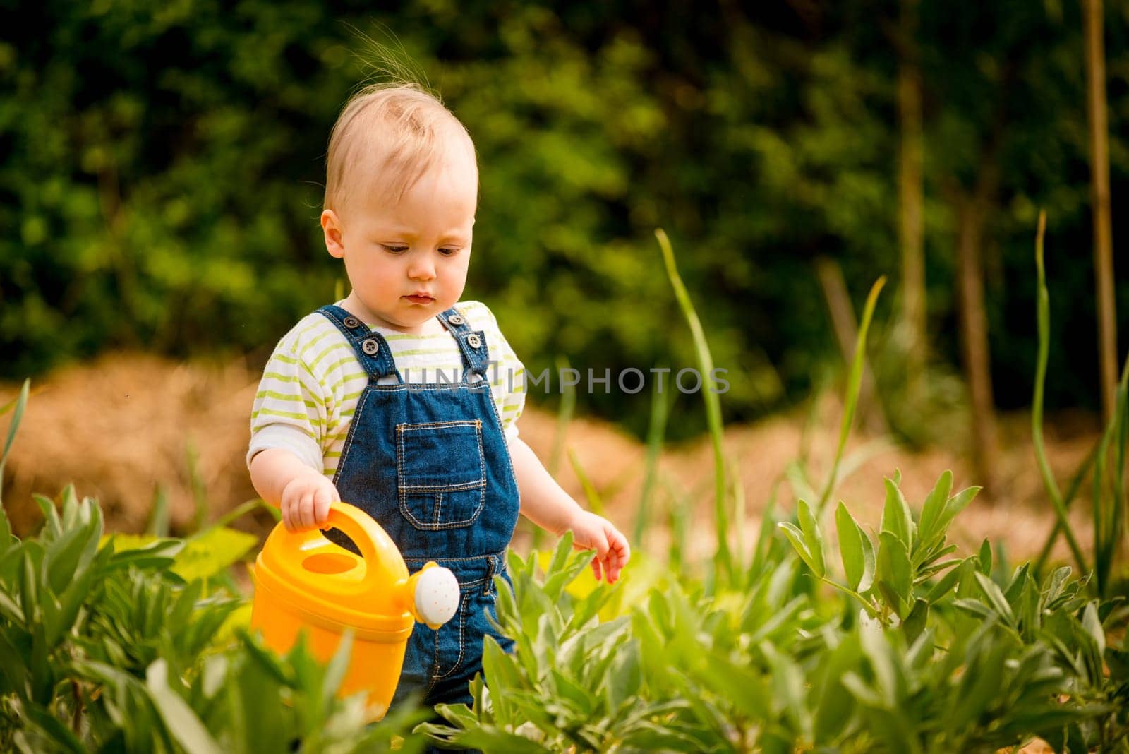 Little baby girl waters plants in backyard garden with watering can