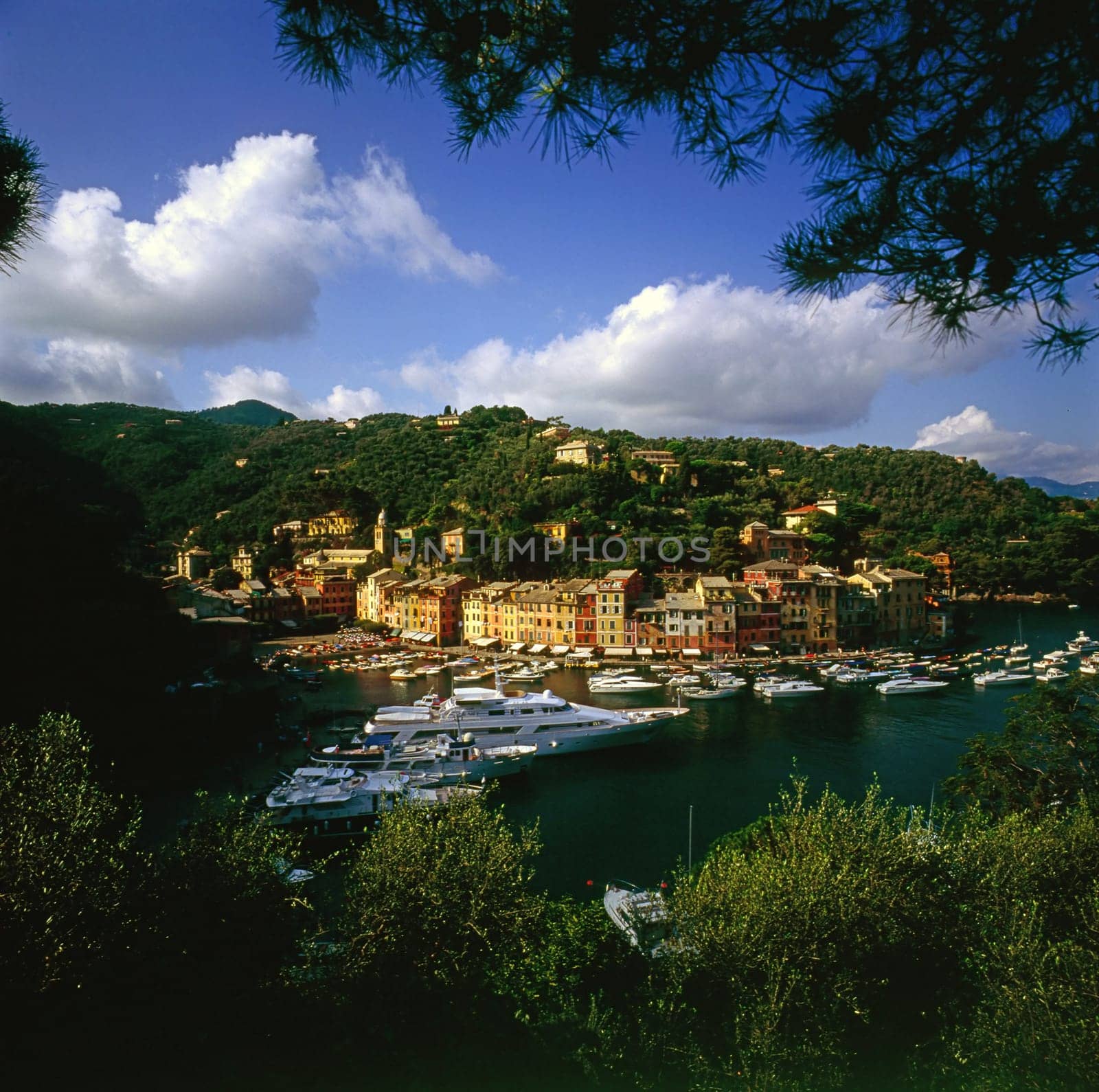 Portofino with harbor on Italian coast