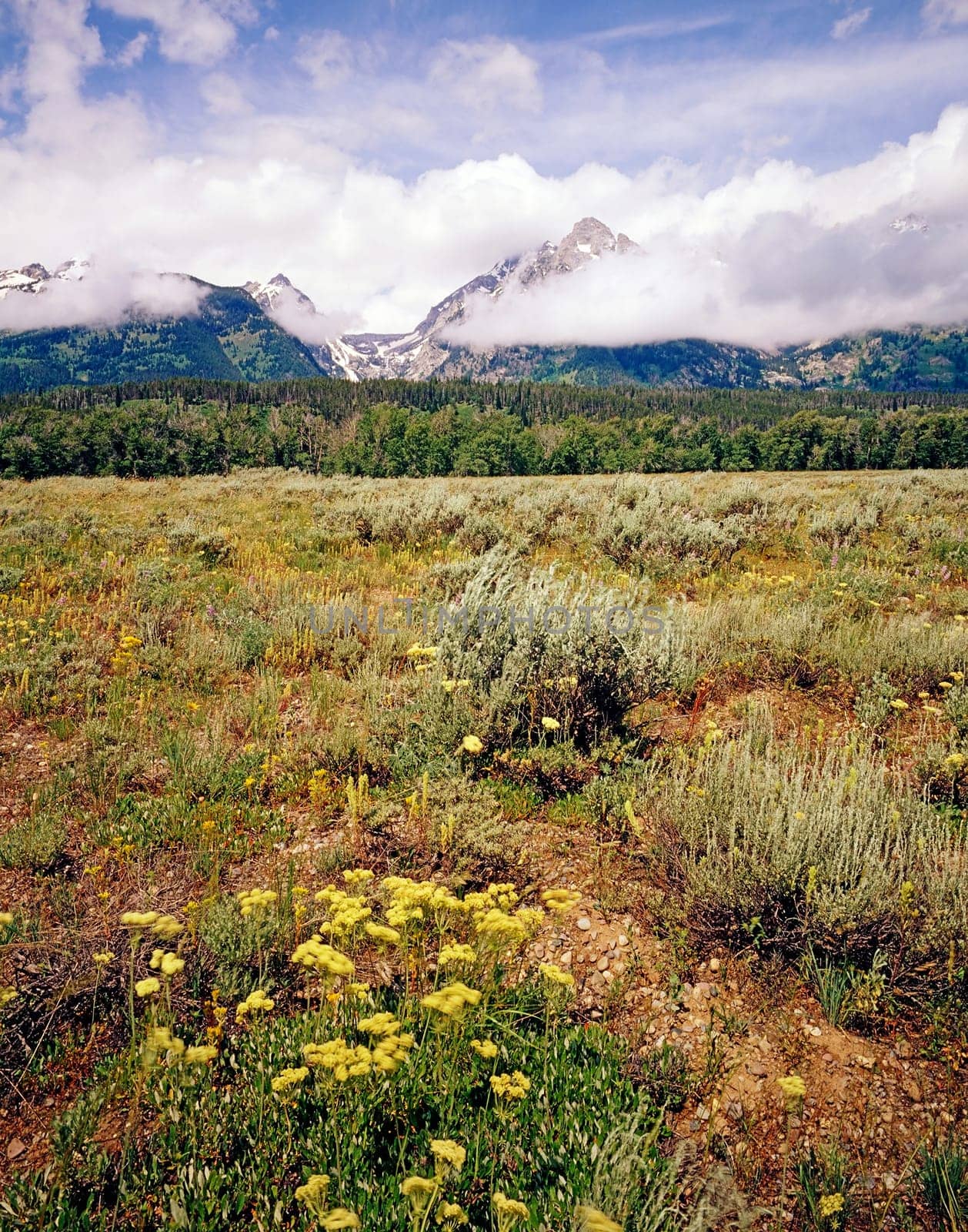 Grand Teton with clouds in Wyoming