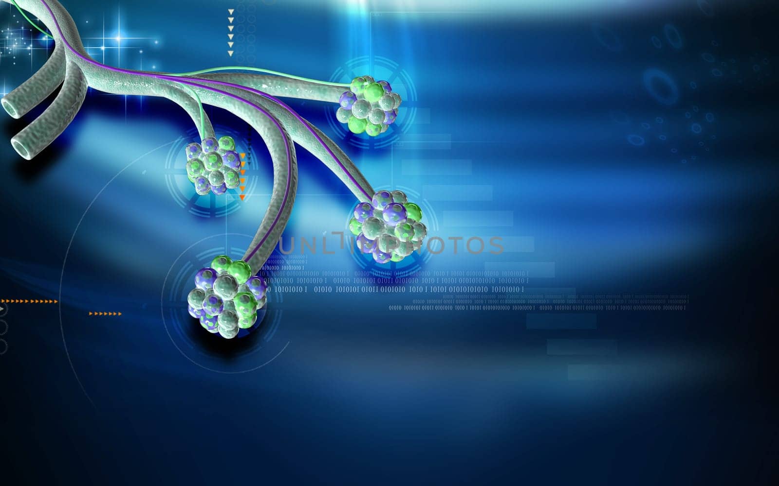 Digital illustration of alveoli in colour background