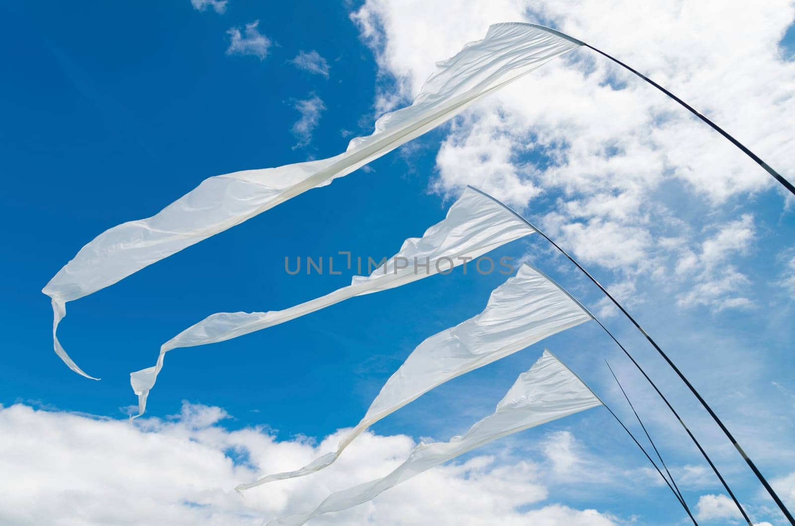 white kite flags waving in the wind
