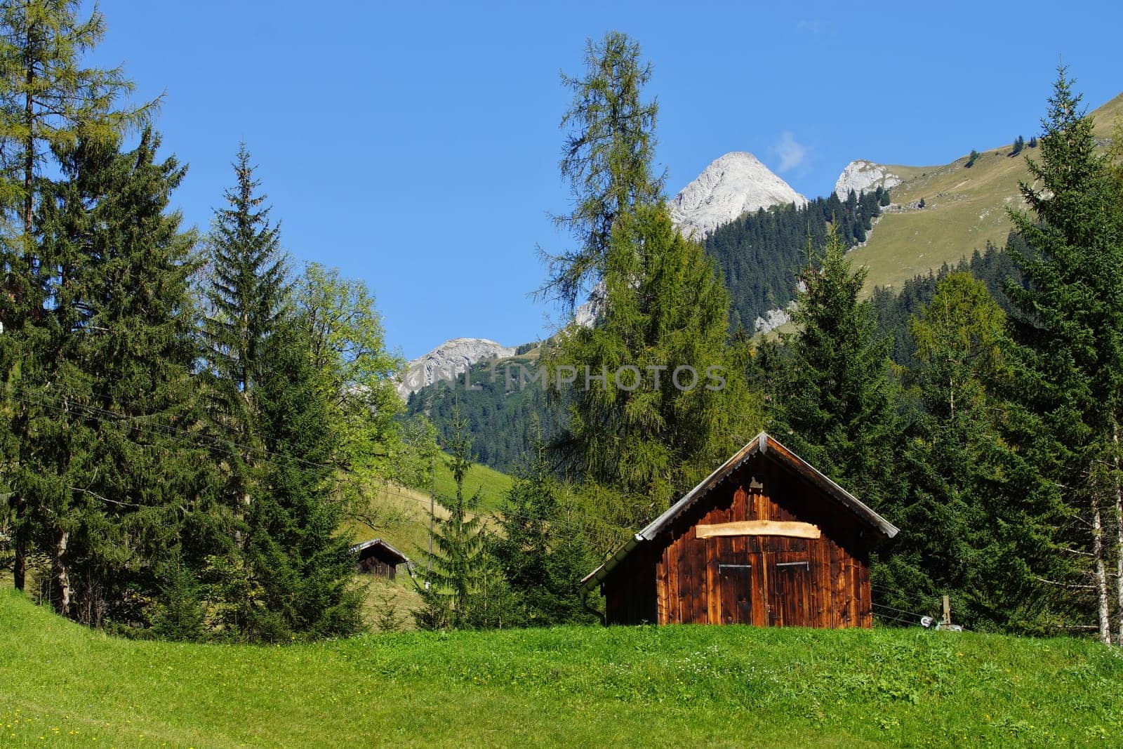 Wooden house in the Alps