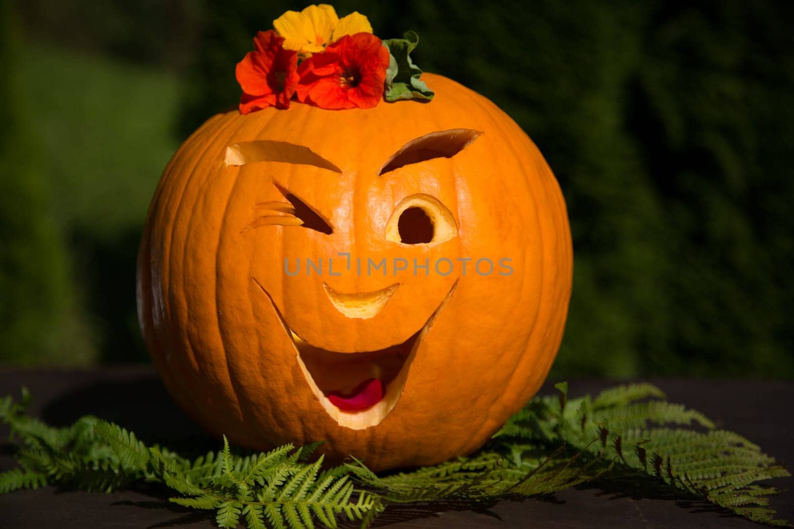 Pumpkin
