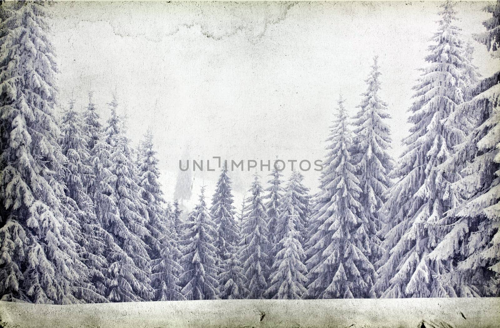 Vintage Christmas background with snowy fir trees