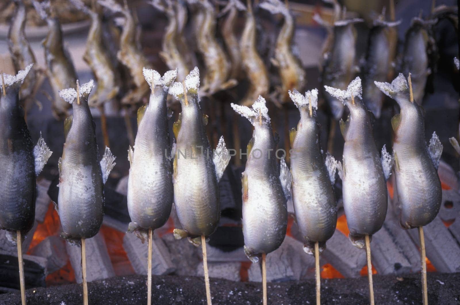a fish  Shop in the City centre of Tokyo in Japan in Asia,....