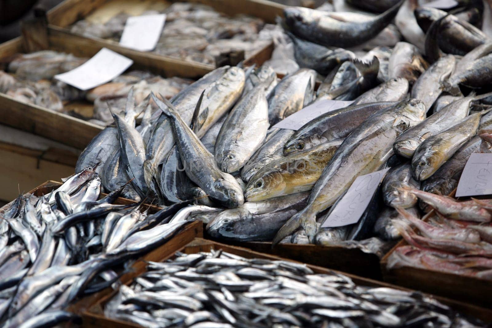 The Fishmarket in the old Town of Catania in Sicily in south Italy in Europe.