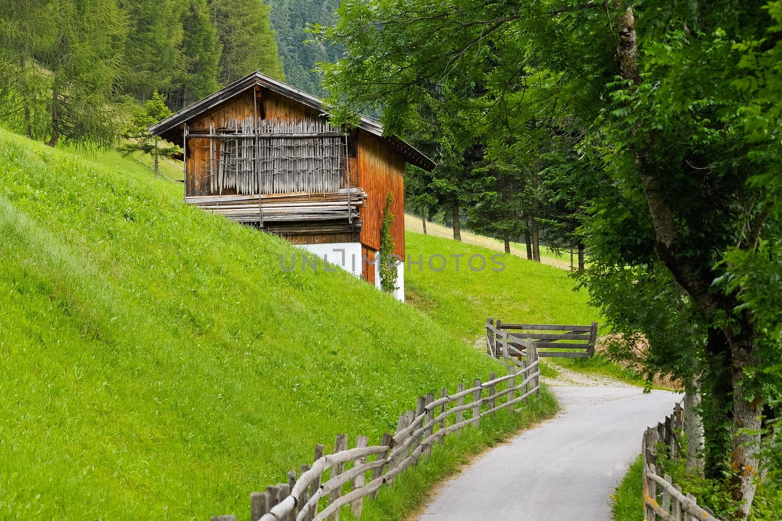 Cabin in the Alps by the way