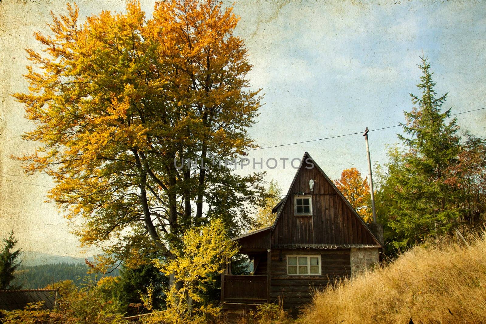 Small cottage in autumn forest