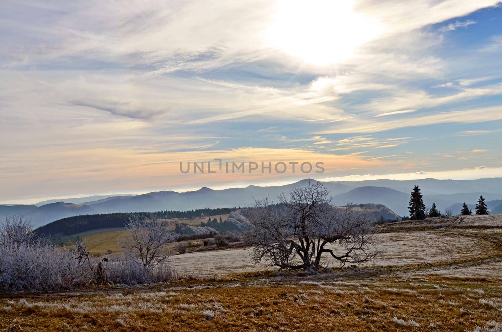 The Rhön