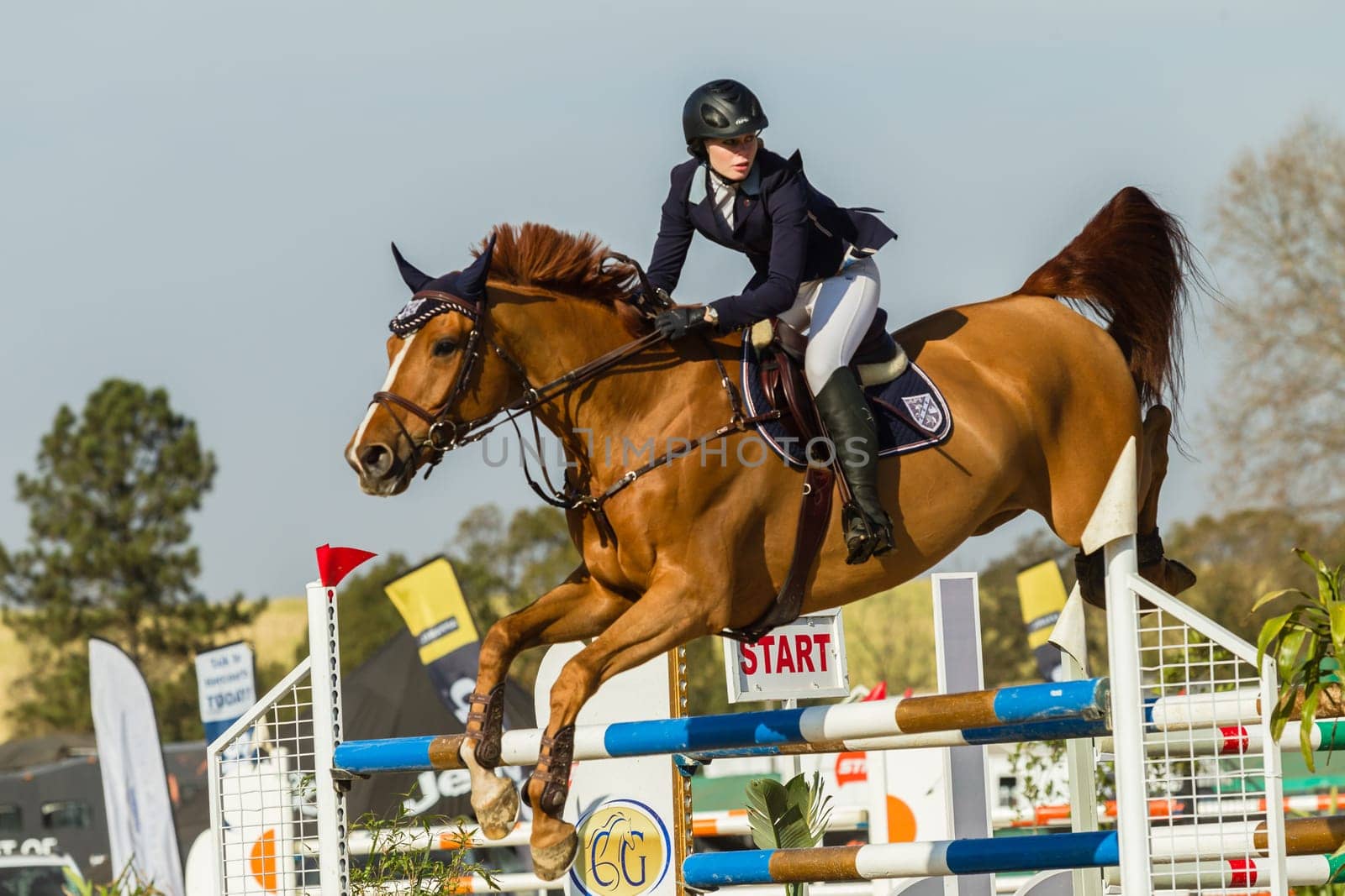 Horse Jumping Nationals Championship  scenes and close-up action of riders men woman at Shongweni Hillcrest outside Durban South Africa  10th Aug 2014