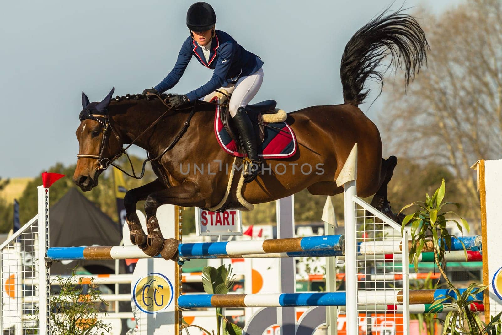 Horse Jumping Nationals Championship  scenes and close-up action of riders men woman at Shongweni Hillcrest outside Durban South Africa  10th Aug 2014