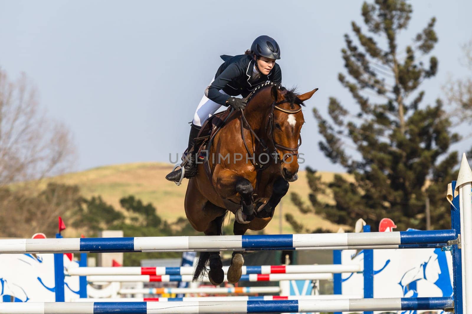 Horse Jumping Nationals Championship  scenes and close-up action of riders men woman at Shongweni Hillcrest outside Durban South Africa  10th Aug 2014