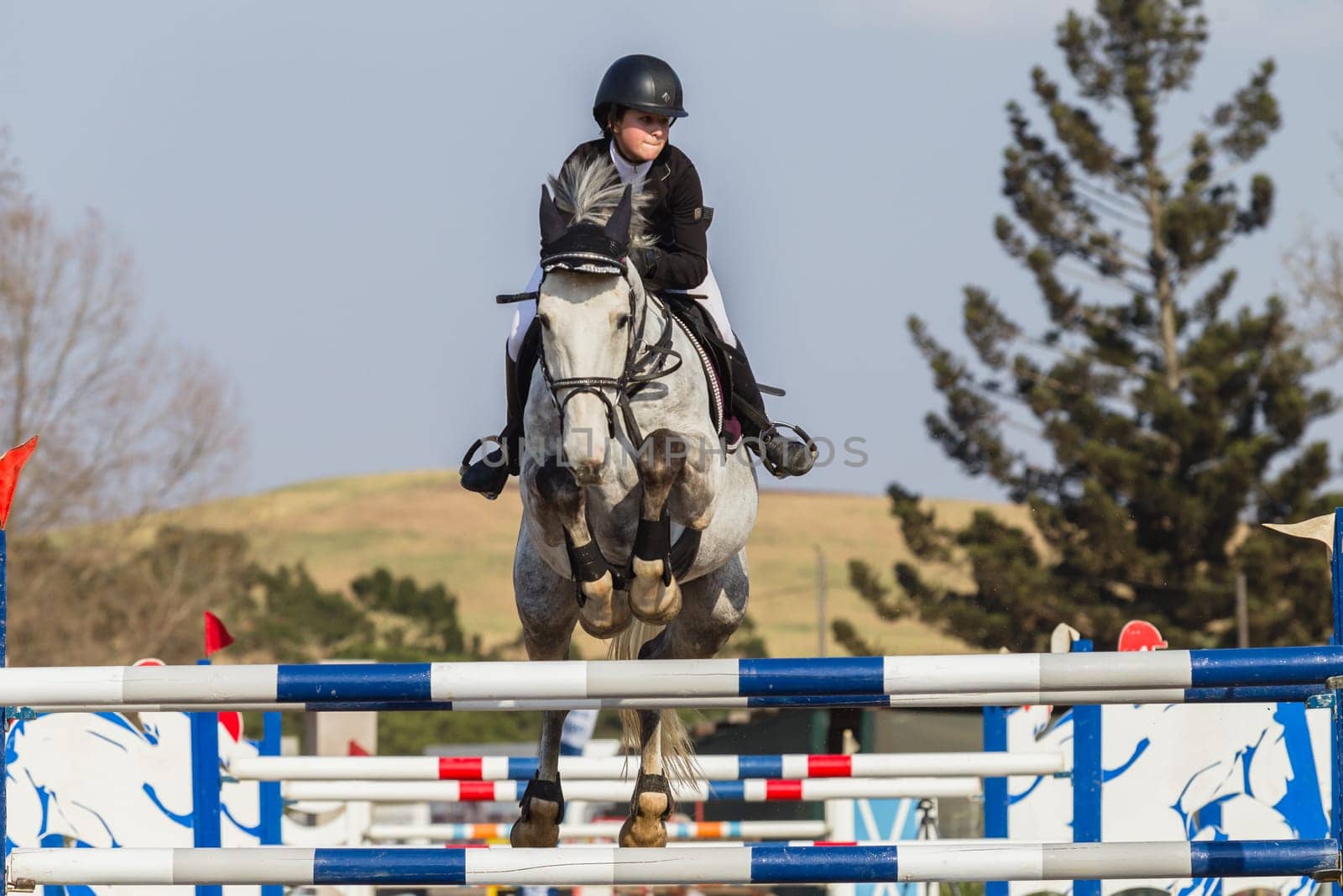 Horse Jumping Nationals Championship  scenes and close-up action of riders men woman at Shongweni Hillcrest outside Durban South Africa  10th Aug 2014
