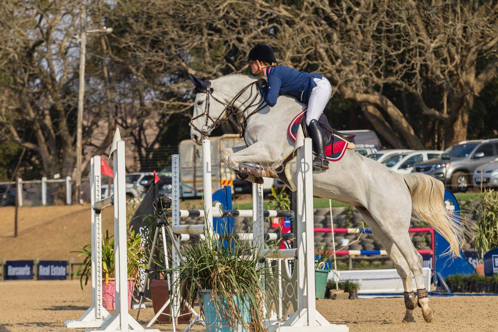 Horse Jumping Nationals Championship  scenes and close-up action of riders men woman at Shongweni Hillcrest outside Durban South Africa  10th Aug 2014