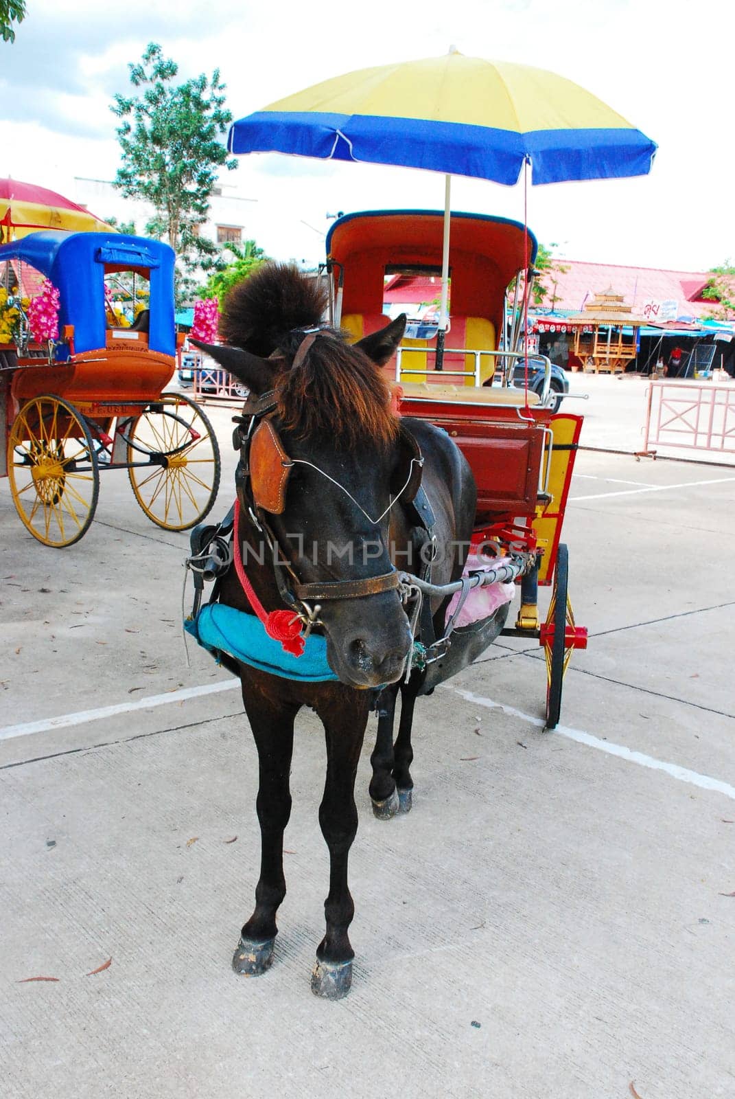 horse carriage and  temple Phrathat Lampang Luang in Lampang, Thailand