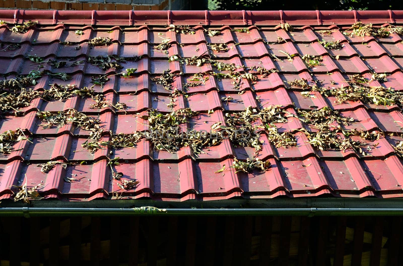 New roof on village house with leaves