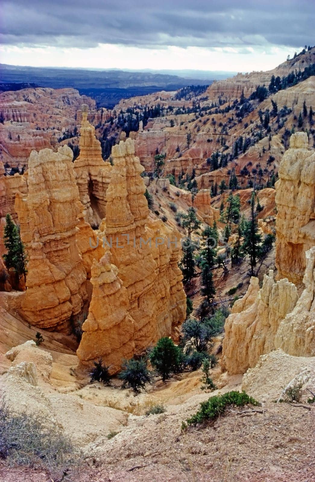 Hoodoos in Bryce Canyon, Utah