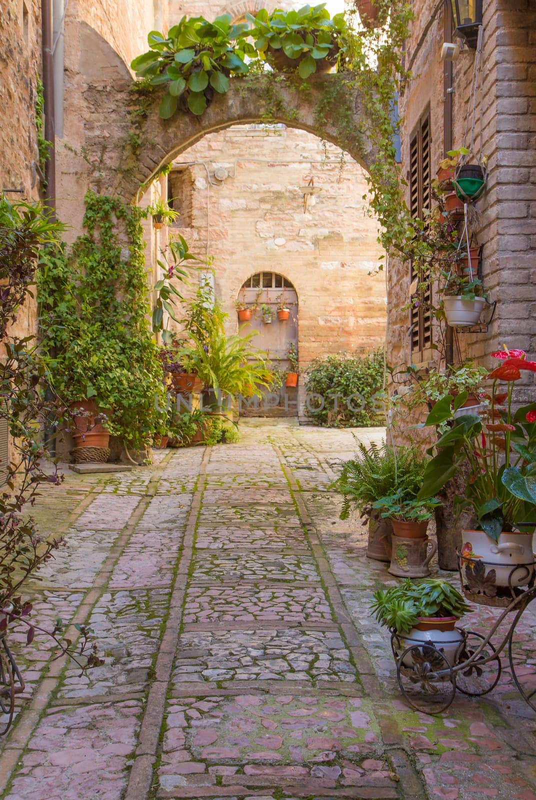 Romantic street with stone arch decorated with plants (Spello, Umbria, Italy.)