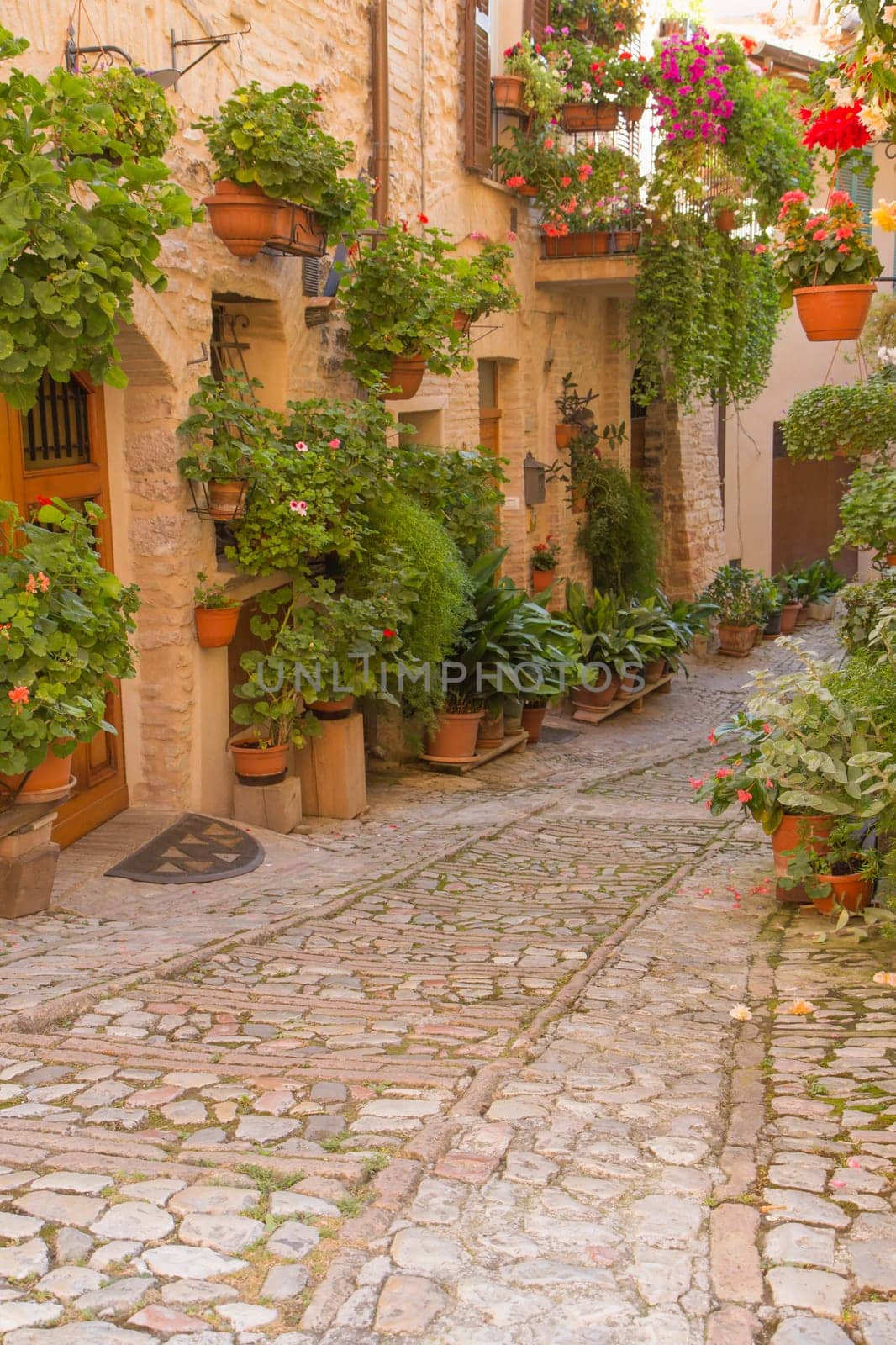 Street decorated with plants and flowers in the historic Italian city. (Spello, Umbria, Italy.) Vertically.