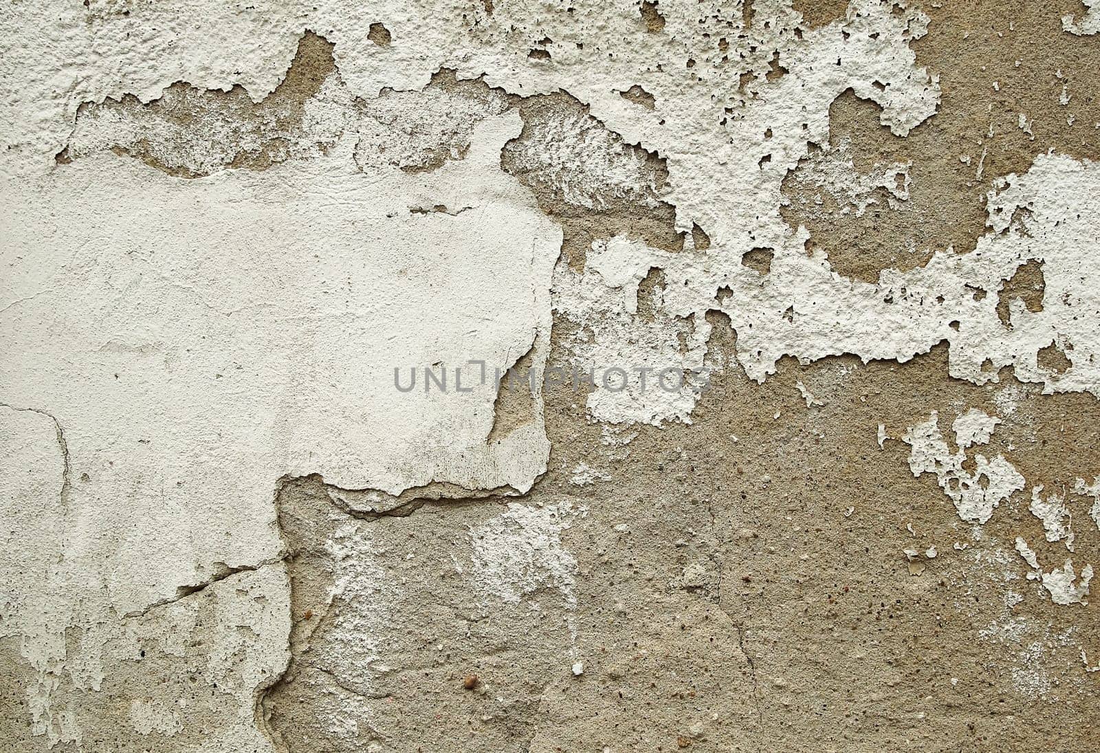 Wandputz / Wall Plaster