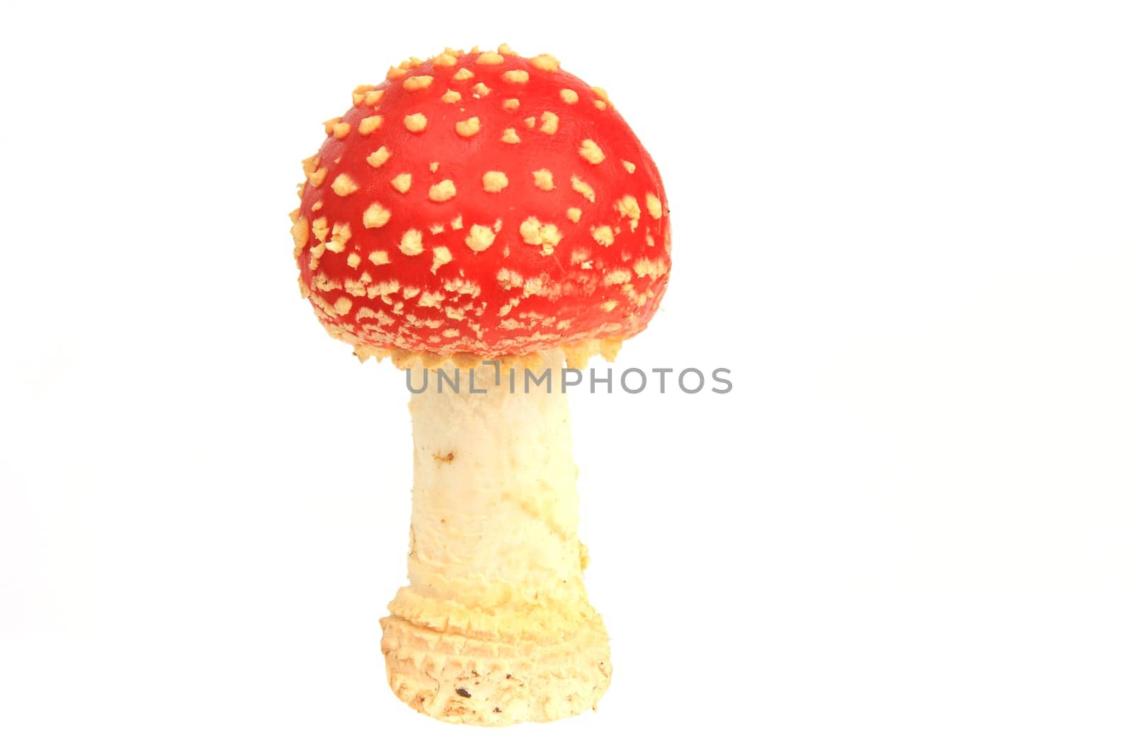 Toadstool (Amanita muscaria) exempted against a white background