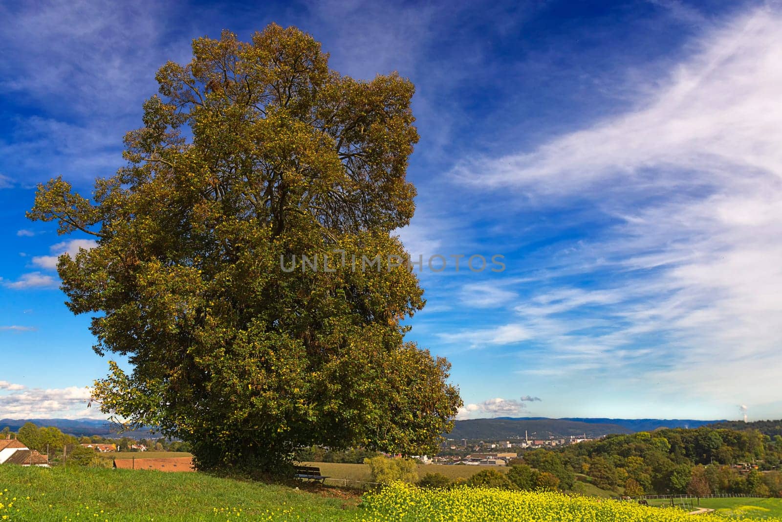 Golden October