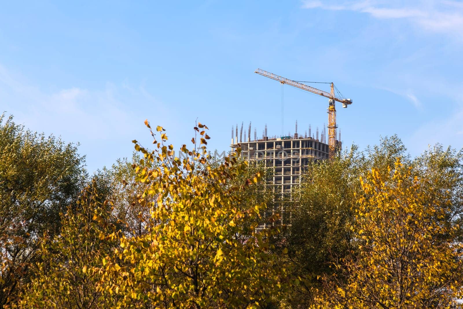Building crane on construction of city