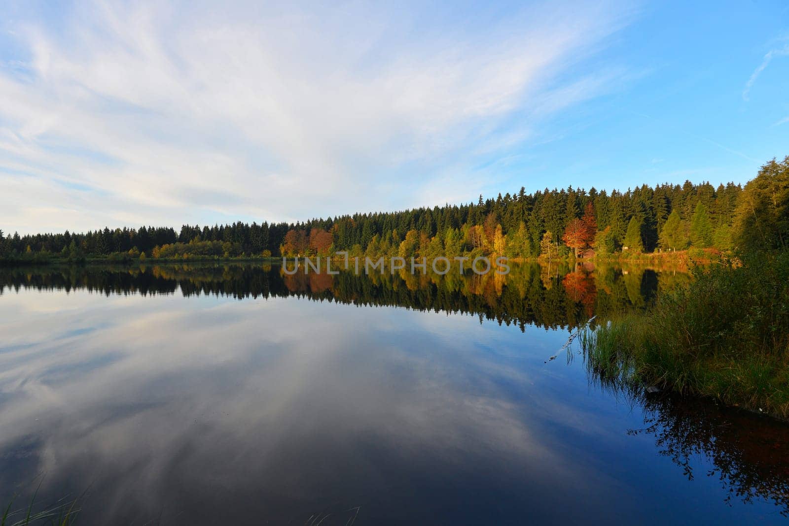 Fichtelsee,autumn,lake,water mood,fog,season,Fichtelgebirge,Bavaria,nature
