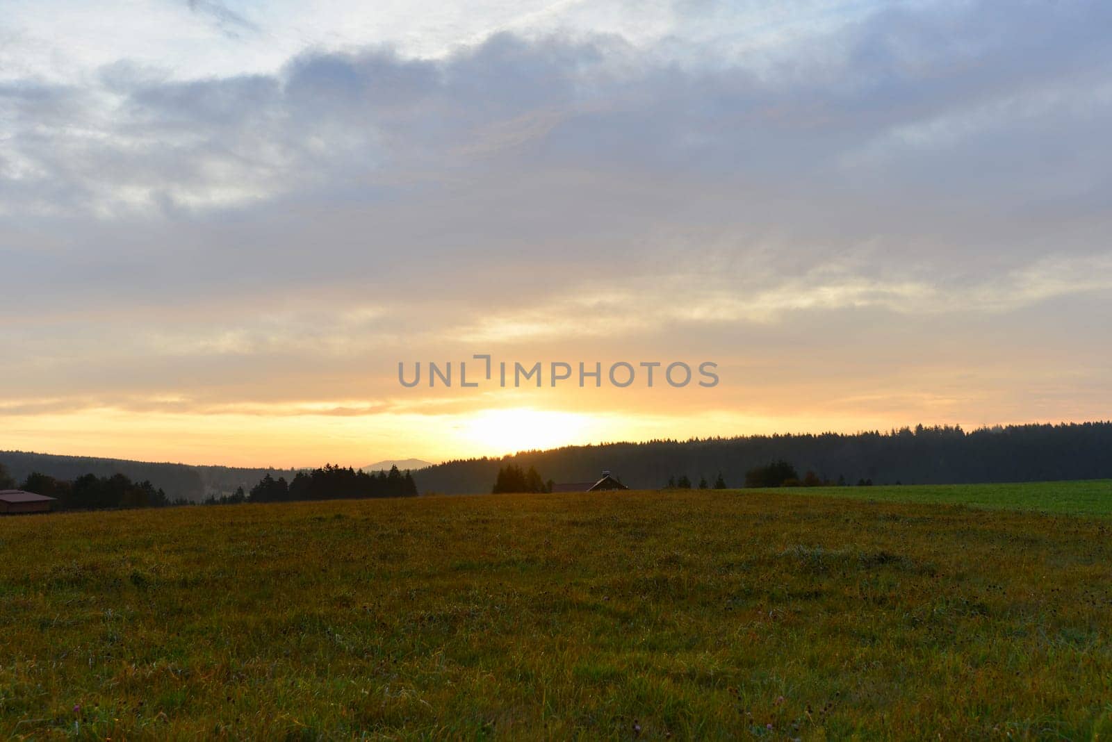Sunrise Autumn Fog