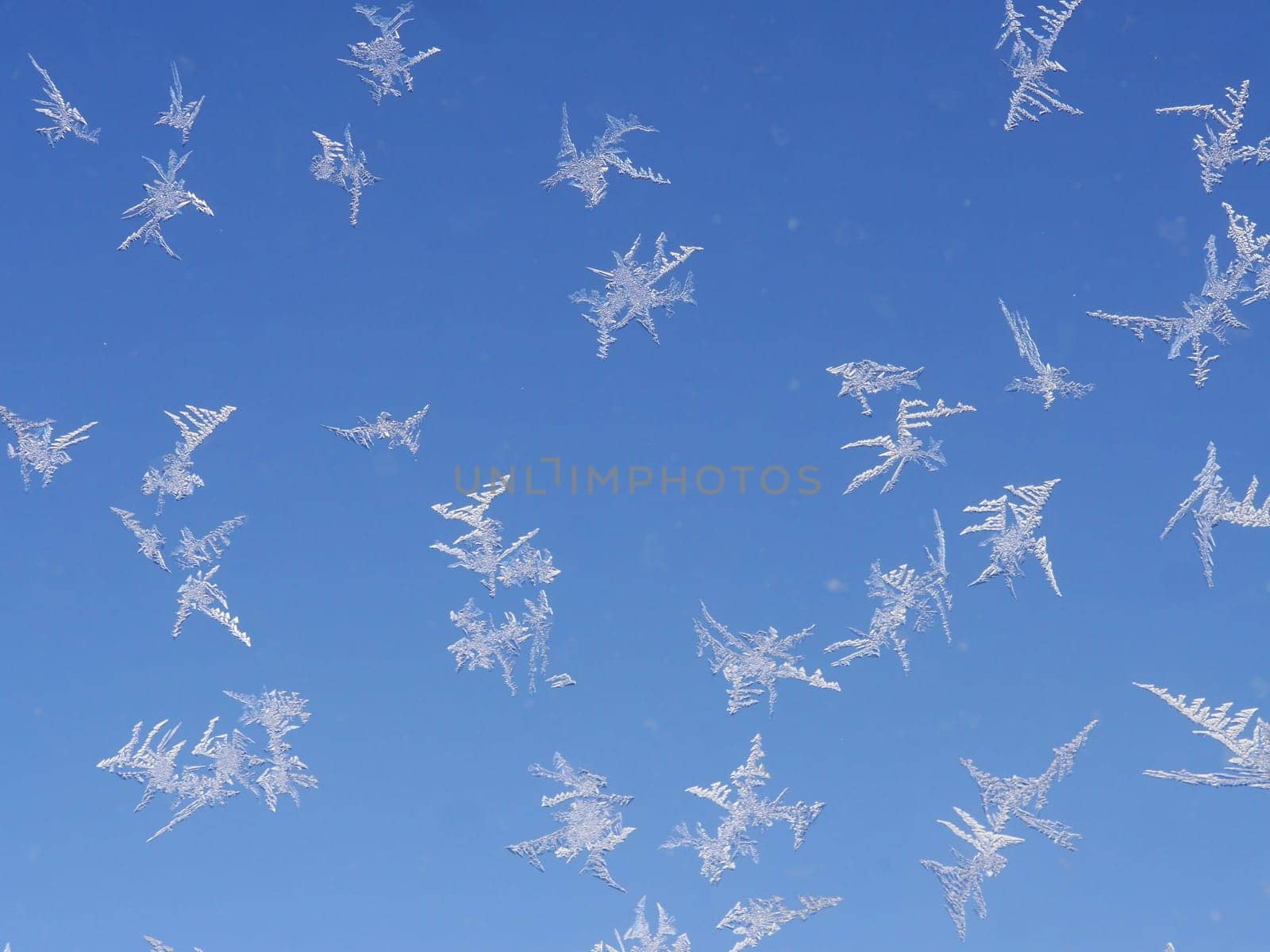 Ice flowers on windows