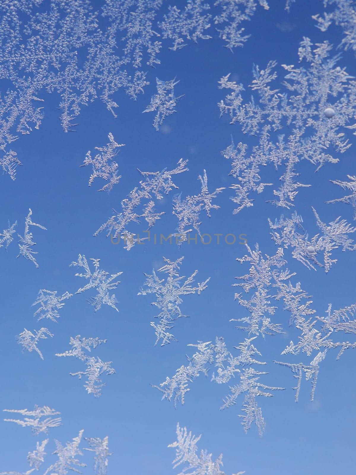 Ice flowers on windows