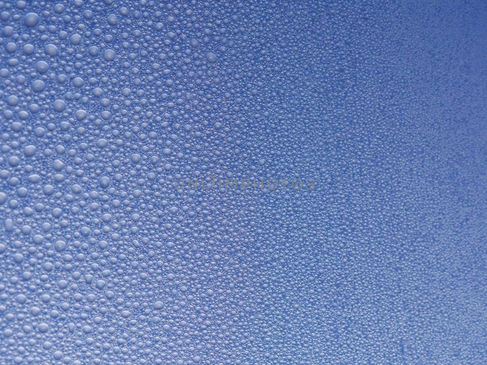Ice flowers on windows