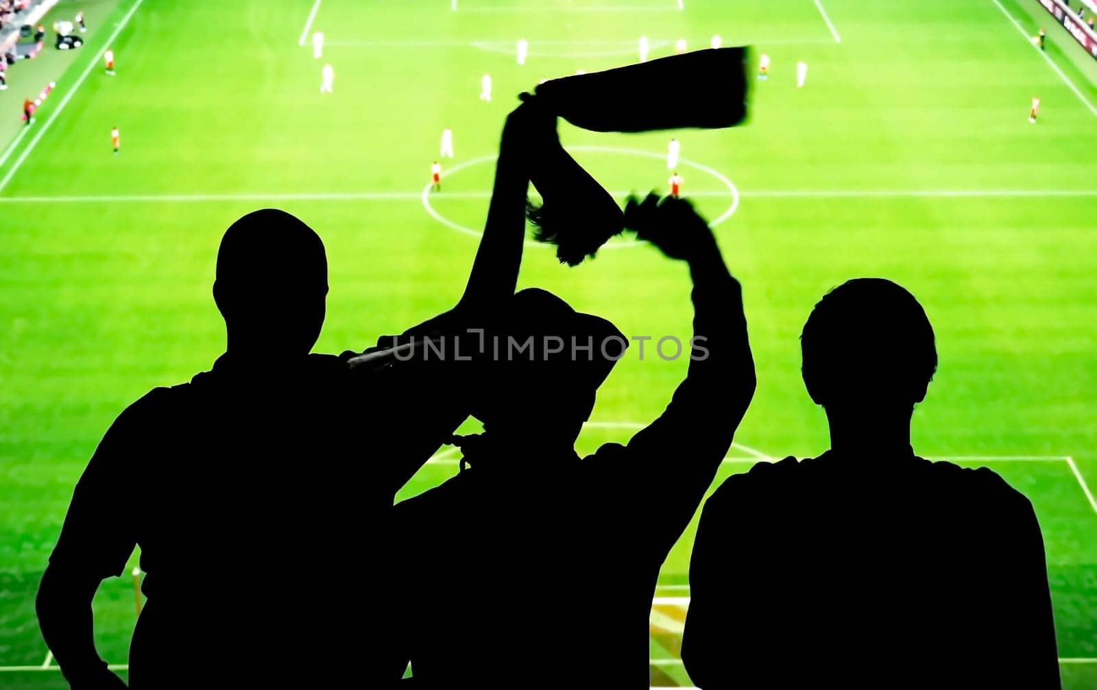 Football fans in the stadium