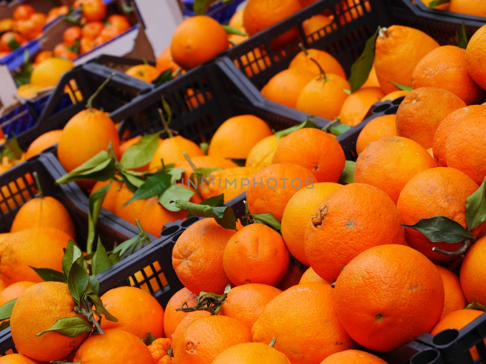 Orange Market