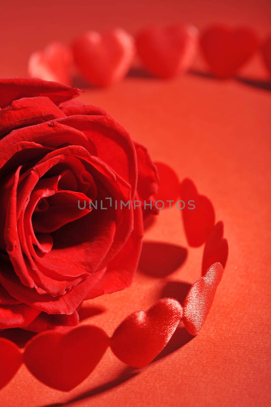 Chain of red fabric hearts with red roses on background