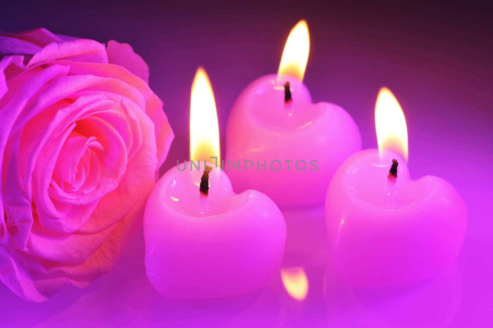 Three bright pink candles in heart shape with pink rose in violet light