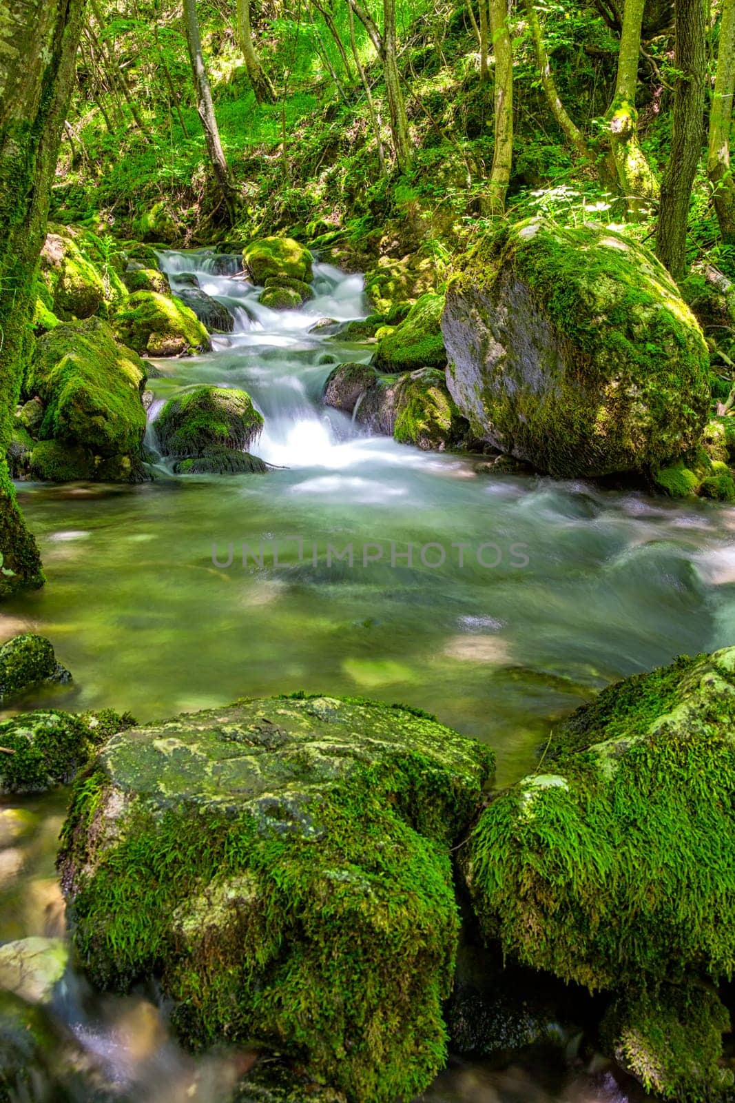 The Bigar spring that leads to Bigar Falls in spring, Romania.